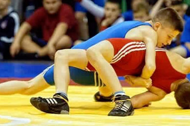 serdkfob2016tsccover