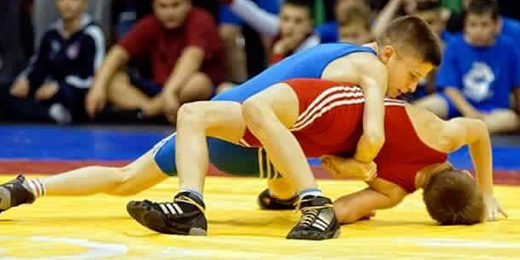 serdkfob2016tsccover